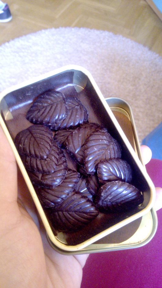 Rellena de hojitas de chocolate negro, muy muy rico! <3